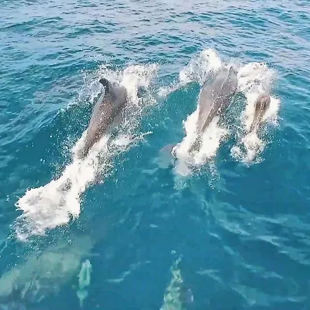 Вилла Casablanca By Algarve Vacation